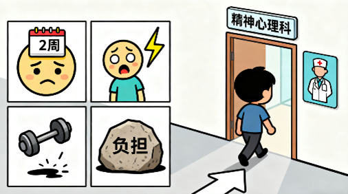 [图片占位：专业帮助]