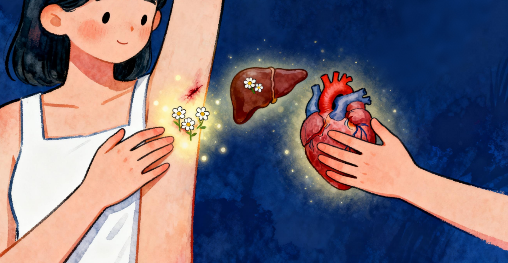 重新连接您的身体