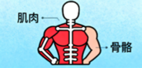 [图片占位：追求优质睡眠]