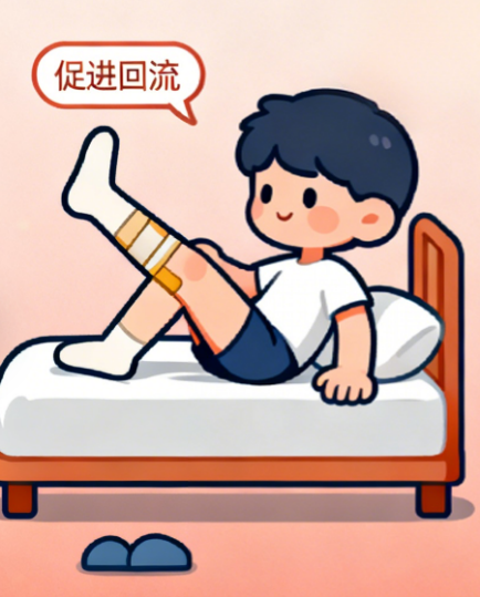 [图片占位：泌尿系统保护]