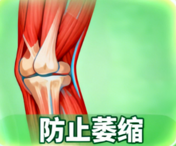 [图片占位：清洁防护原则]