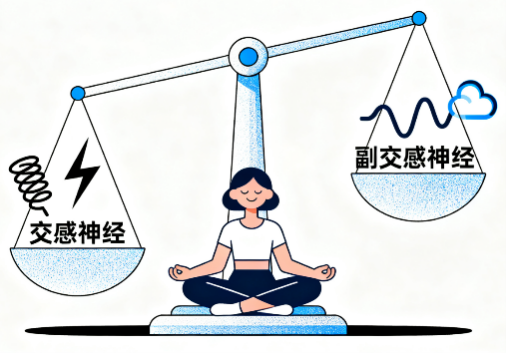 [图片占位：有氧运动示意图 - 快走、慢跑、游泳]