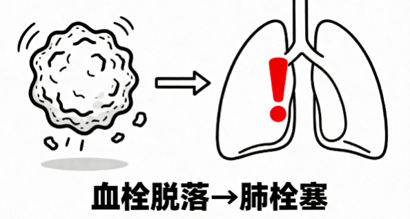 [图片占位：轻微脚踝转动]